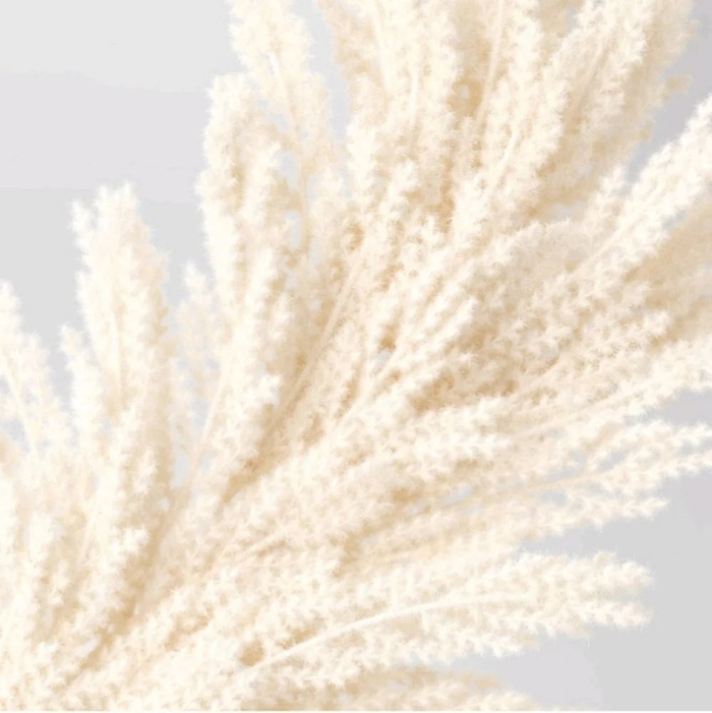 Threshold Extra Large Pampas Grass Branch Beige
